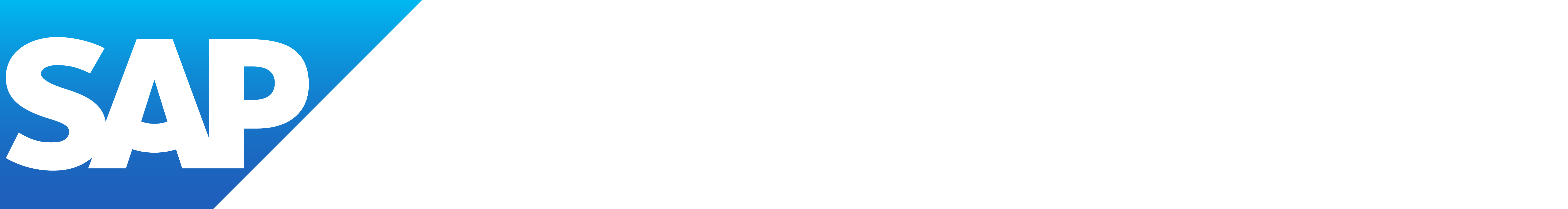 SAP Business One